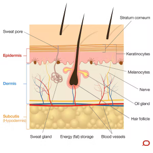 Skin Problems