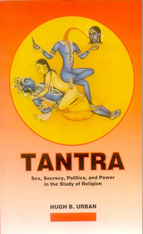 Tantra: Sex, Secrecy, Politics, and Power in the Study of Religion (paperback) - Image 2